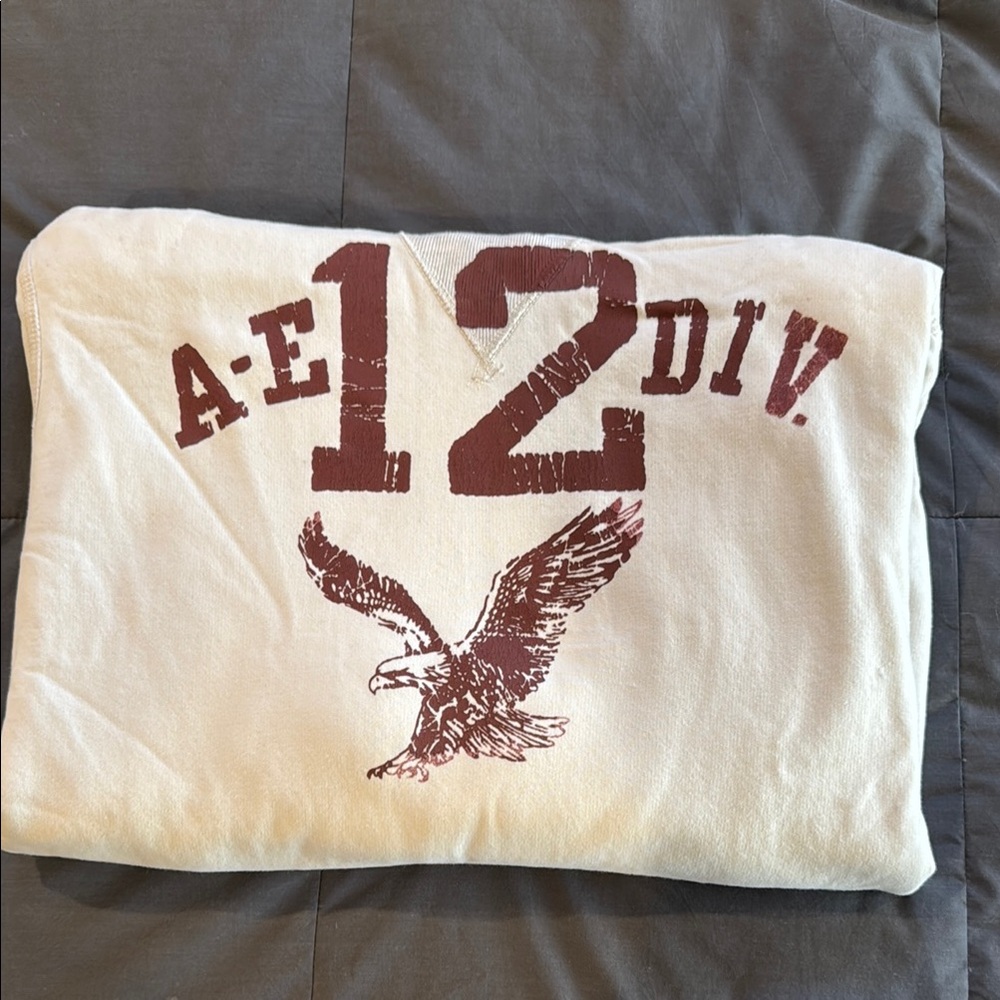 A-E 12 Div Cream Sweatshirt with Eagle Graphic